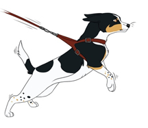 unerwünschtes Verhalten