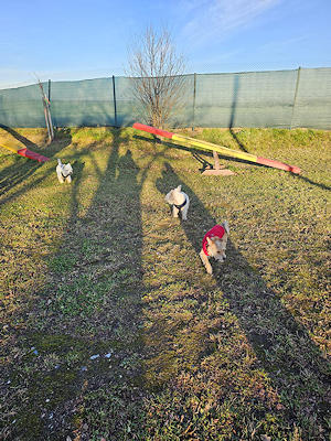 Spielstunde mit unseren Minis