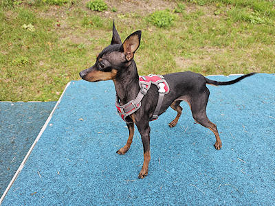 Spielstunde mit unseren Minis