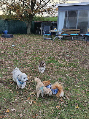 Spielstunde mit unseren Minis