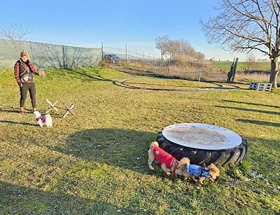Spielstunde mit unseren Minis