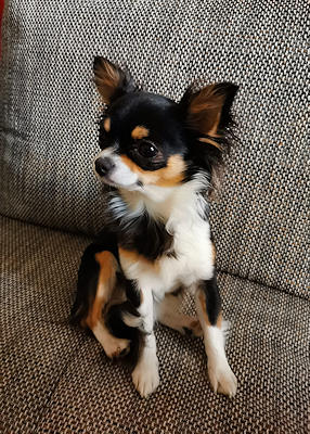 Spielstunde mit unseren Minis