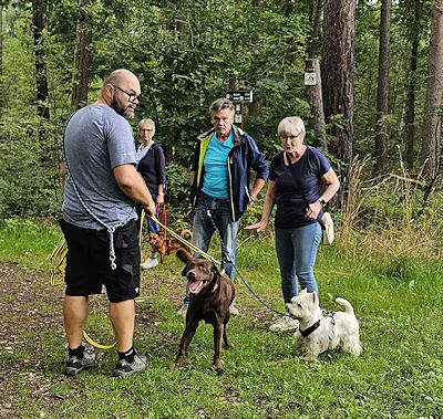 Lernspaziergänge in der Gruppe