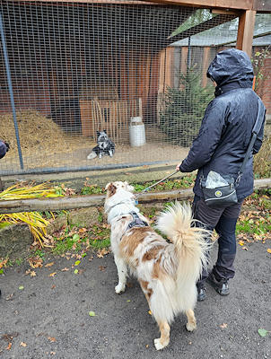 Lernspaziergänge in der Gruppe