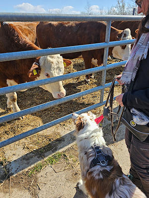 Lernspaziergänge in der Gruppe