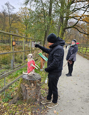 Lernspaziergänge in der Gruppe