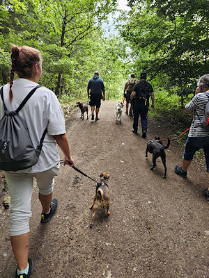 Lernspaziergänge in der Gruppe
