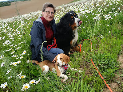 Lernspaziergänge in der Gruppe