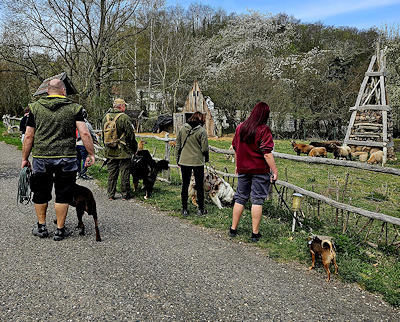 Lernspaziergänge in der Gruppe