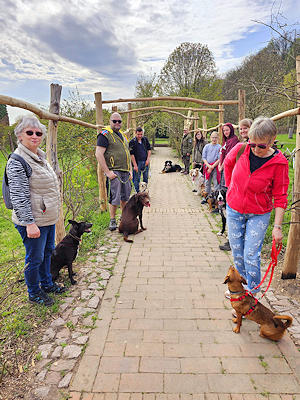 Lernspaziergänge in der Gruppe