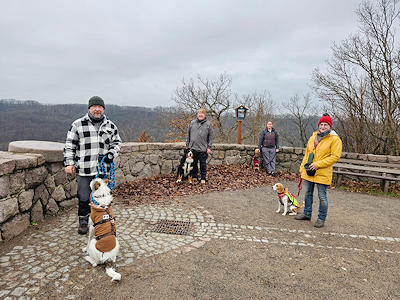 Lernspaziergänge in der Gruppe