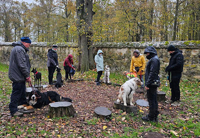 Lernspaziergänge in der Gruppe